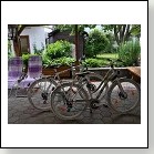 pension_pirker_weisskirchen_06