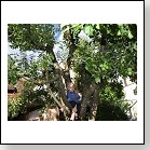 gasthof_pension_pirker_weisskirchen_10